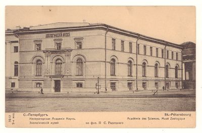 С.-Петербург. Императорская Академия Наук. Зоологический музей. Открытка Общ. Св. Евгении. 