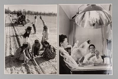 Пресс-фото. Фотограф Г. Бойко &laquo;Сев ведут школьники&raquo; и фотограф А. Батанов &laquo;Радиоактивные 