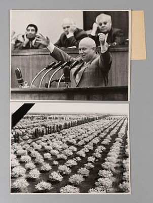 Пресс-фото. Фотограф А. Красовский &laquo;Сад-гигант&raquo; и фотографы В. Савостьянов и Н. Ситников &laquo;III 