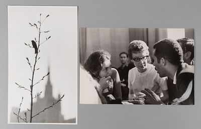 Пресс-фото. Фотограф В. Степанов &laquo;96-я весна в московском зоопарке ранним утром&raquo; и фотографы Е. 