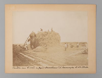 Ферма Московского Сельско-хозяйственного института. Складка сена. Фотография большого формата 