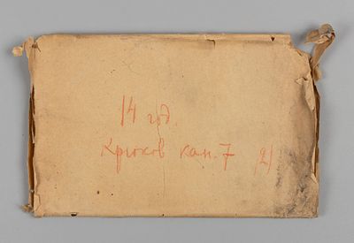 Фото-пластина гардемарин Иван Оношкович-Яцына. Крюков канал, 7. 1914. Размер пластины 9х12 см. 