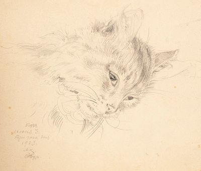 Н/х. Кот Кузя. 1923. Бумага, карандаш. Размер 18х20 см. Хорошее состояние. Незначительные следы 