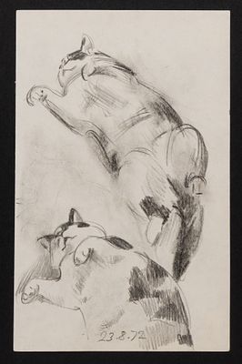 Харкевич И. И. Кот, лежащий на спине. 1972. Бумага, карандаш. Размер листа 20х12,5 см. Хорошее 