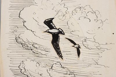 Ризнич И. И. Две чайки. 1959. Бумага, тушь, белила. Размер листа 15х10 см. Хорошее состояние. 