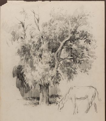 Ушаков И. Л. Лошадь у дерева. 1940-е гг. Бумага, уголь. Размер листа 41х29 см. Условно хорошее 