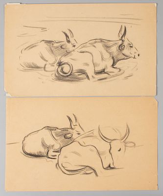 Н/х. Наброски быков. 2 л. 1920-1930-е гг. Бумага, черный карандаш. Размер листа 23,3х37,5 см. Ус 
