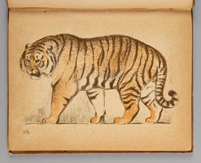 Румянцева Е.Г. Мои знакомые. Рисунки В. Ватагина. М., 1935. Румянцева Е.Г. Мои знакомые. 