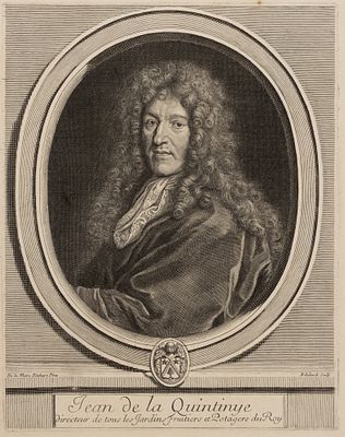 Эделинк Ж. (гравер), Ламар-Ришар Ф. де (инвентор). Портрет садовника и агронома Людовика XIV 