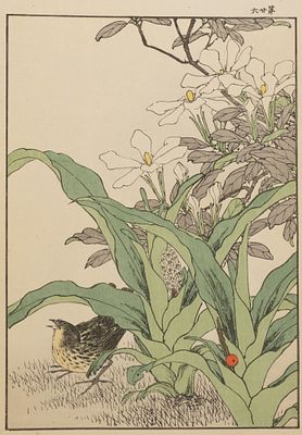Имао Кейнен. Маленькая птица и красная ягода. Листы из "Альбома птиц и цветов Кейнена". 1890-е 