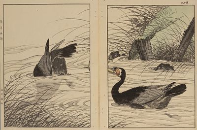 Имао Кейнен. Болотные птицы. Диптих. Листы из "Альбома птиц и цветов Кейнена". 1890-е гг. 