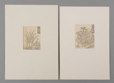 Лук и арбуз. 2 л. Китайская миниатюрная ксилография из комментария Го Пу к словарю &laquo;Эръя&raquo;. Нач. 