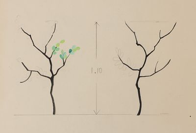 Бруни Т. Г. Веточки для панорамы. Эскиз декорации спектакля "Двенадцать месяцев" в театре 