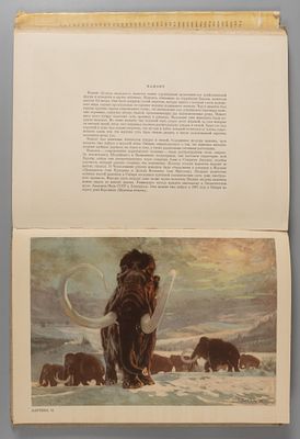 Аугуста Й., Буриан З. По путям развития жизни. Прага, 1959. Аугуста Й., Буриан З. По путям 