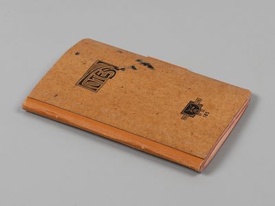 Дневник молодой петербурженки накануне революции. Пг., 1916. Дневник молодой петербурженки. Пг. 