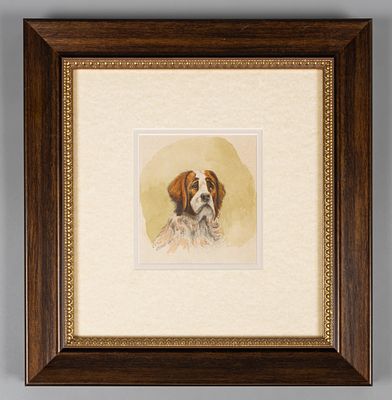 Рыбин А. [по подписи] Портрет сенбернара. 1909. Бумага, графитный карандаш, акварель. Размер по 