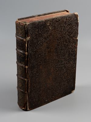 [С 30-ю гравюрами] [На фр. яз. Путешествие Корнелиса де Брюйна в Московию, Персию и Вест-Индию. 