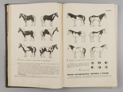 Книга о лошади. Том 1. Под редакцией и с предисловием С.М. Буденного. М.-Л., 1933. Книга о 