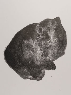 Хабарова Н. Кот. 2020. Литография. 3/4. Размер листа 61х43 см. Хорошее состояние. 
Хабарова 