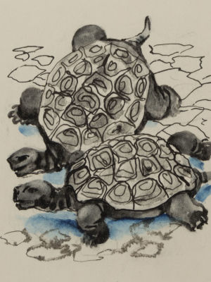 Капустина Т. Черепашки. Оригинальная иллюстрация к книге Сладкова Н. И. &laquo;За пером синей птицы&raquo;. 
