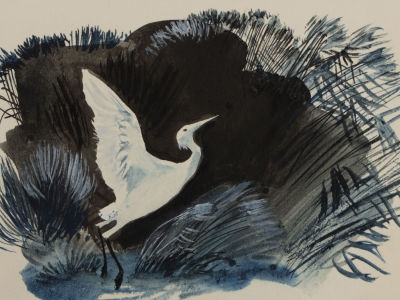 Капустина Т. Белый аист. Оригинальная иллюстрация к книге Сладкова Н. И. &laquo;За пером синей 