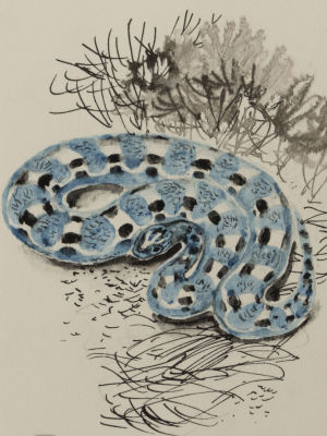 Капустина Т. Змея. Оригинальная иллюстрация к книге Сладкова Н. И. &laquo;За пером синей птицы&raquo;. 1980. 