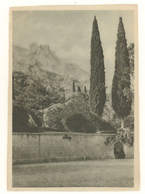 Крым. Кипарисы и Ай-Петри, вид с музея Алупки. Довоенная открытка. 4654 Крымгосиздат 