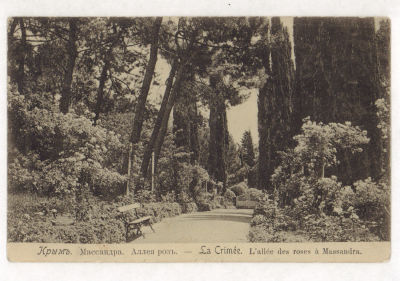 Крым. Массандра. Аллея роз. Открытка Общ. Св. Евгении. Начало ХХ в. 2006 Размеры 13,8х8,9 см. 