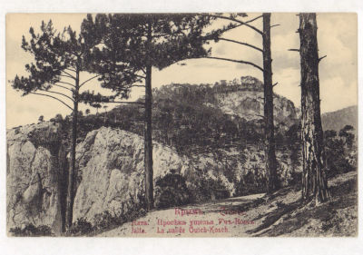 Крым. Ялта. Просека ущелья Уч-Кош. Открытка. Начало ХХ в. 2020 Акц. О:во Гранберг в Стокгольме. 