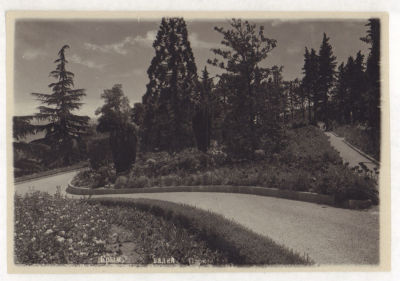 Крым. Ливадия. Парк. Довоенная фотооткрытка. 2078 Фото Сокорнова. Изд. Крымгосиздатторга 