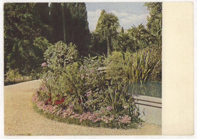 Крым. Никитский сад. Цветная довоенная открытка. 2088 Издание "ГОЗНАК". Москва. Серия "Крым" 