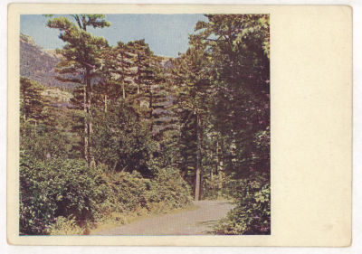 Крым. Бахчисарайское шоссе. Цветная довоенная открытка. 2091 Издание "ГОЗНАК". Москва. Серия 