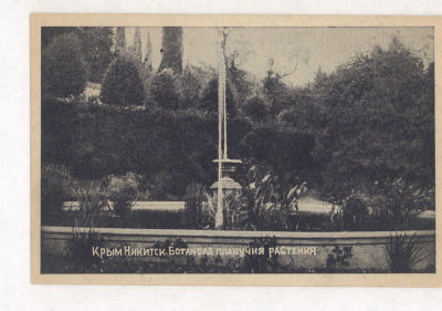 Крым. Никитск. Ботансад. Плавучие растения. Довоенная открытка. 2119 Издание М.Я.Лишбергова. 