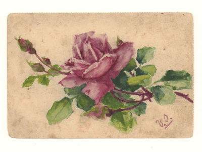 Роза. Рисованная открытка Начало ХХ в. Акварель. Подпись: V.S. Размер 9х13 см. 
Потертости. 