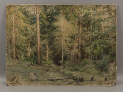 Невельштейн С. Лесной пейзаж. 1949. Картон, акварель. Размер 38х41,5 см. Справа внизу подпись. 