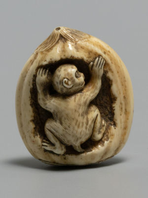 Нэцкэ. Обезьяна в тыкве. Слоновая кость, резьба. Япония. Кон. XIX в. Размер 37х32х21 мм. 
Общие 