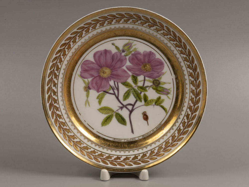 [Юсупов Н.Б.] "Розы" &laquo;Rosier d'hudson a feuiles de saule&raquo;. Декоративная тарелка из серии 