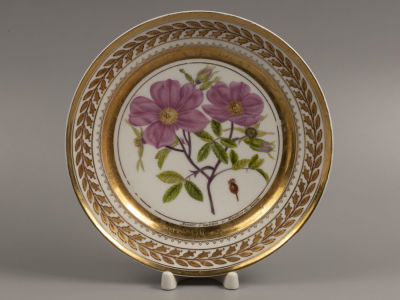 [Юсупов Н.Б.] "Розы" &laquo;Rosier d'hudson a feuiles de saule&raquo;. Декоративная тарелка из серии 