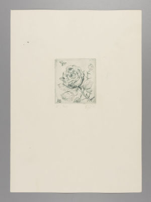 Бодров А. Роза. 1992. Офорт. Размер изображения 7,3х6,5 см. 
Размер листа 29,5х21 см. Есть 