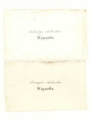 Визитка. Наумов Дмитрий Алексеевич. Выдающийся земский деятель. Рубеж XIX-XX вв. 2 шт. Размер 