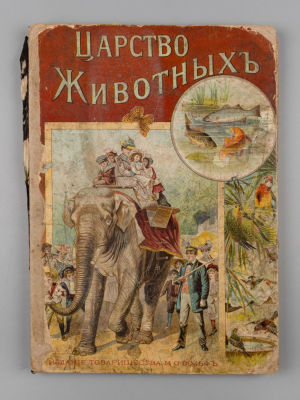 Петров Н.Н. Царство животных [без текстовой части, только 15 л. илл. таблиц]. СПб.-М., 1904. Пет 