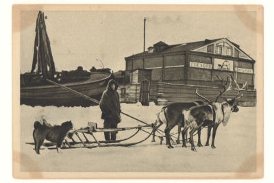 Архангельск. №24. Гость из тундры (самоед). Довоенная открытка. 3812 ИЗО-ГИЗ №497. Размеры 14 