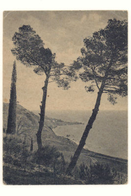 Крым. Пейзаж близ Алупки. Довоенная открытка. 3878 Крымгосиздат, Симферополь №404. Размеры 14 