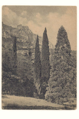 Крым. Алупка. Вид на Ай-Петри. Довоенная открытка. 3879 Крымгосиздат, Симферополь №3507. 