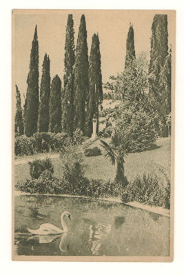 Крым. №43. Кореиз. Вид в парке. Довоенная открытка. 3882 Изд. Контрагентства Печати. Размеры 13 