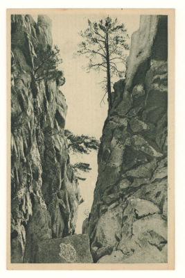 Крым №336. Алупка. Ущелье &laquo;Чабан-Таш&raquo;. Довоенная открытка. 3885 Изд. Контрагентства Печати. 