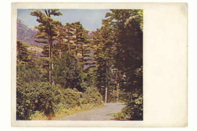 Крым. Бахчисарайское шоссе. Довоенная цветная открытка. 3903 Издание &laquo;ГОЗНАК&raquo; 