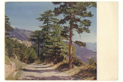 Крым. Спуск со скалы Ай-Петри. Довоенная цветная открытка. 3904 Издание &laquo;ГОЗНАК&raquo; 