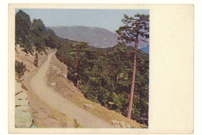 Крым. Бахчисарайское шоссе. Довоенная цветная открытка. 3906 Издание &laquo;ГОЗНАК&raquo; 