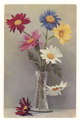 Ваза с ромашками. Цветная открытка. Начало ХХ в. П-5 Rommler &amp; Jonas, Dresden. Ser. 